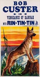 Vengeance Of Rannah poster Rin Tin Tin Jr 1936 Old Movie Photo