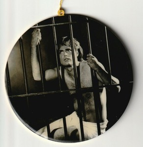 Christmas Ornament: Donny Osmond in Joseph and the Amazing Technicolor Dreamcoat