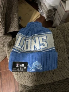 Detroit Lions NFL Knit Winter Hat Beanie - Picture 1 of 2