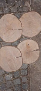 Holzscheibe Eiche tolle Optik Baumscheibe Tischplatte ca. 36x3, 1 Jahr, sägerau - Bild 1 von 1