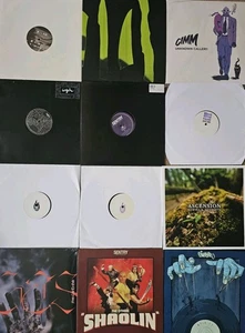 30 x Dubstep 12" Vinyl Records DJ Bundle Starter Pack - Lucky Dip Brand New! - Picture 1 of 24