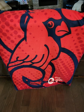 St. Louis Cardinals Throw Blanket Expedia Sponsor Souvenir Item Cover