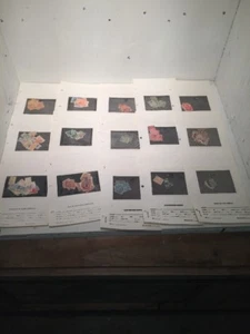 Huge Lot Italian Stamps Most Cancelled Most Pre WWII - Picture 1 of 12