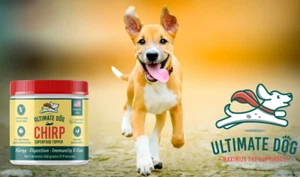 ULTIMATE DOG – ORGANIC SUPERFOOD TOPPER-ALLERGY-DIGESTION-IMMUNITY & COAT -CHIRP - Picture 1 of 12
