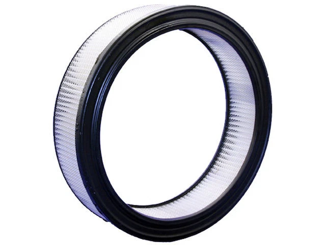 Filtro de aire para Ford F150 1975-1985 Bosch 76472XR 1976 1977 1978 1979 1980 1981 Foto 1 de 2