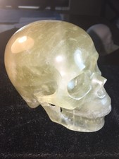 Giant 5.1” Citrine Quartz Crystal High Quality Carved Healing Skull