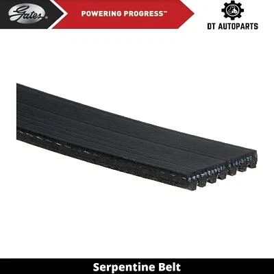 Para Dodge B2500 Serpentine 1995-1998 puertas de cinturón 1996 1997 Foto 1 de 4