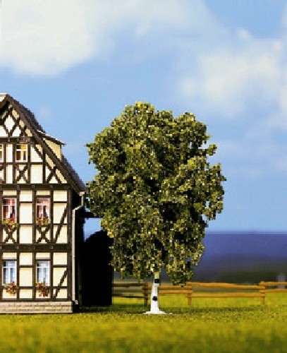 Bild 1 von 1