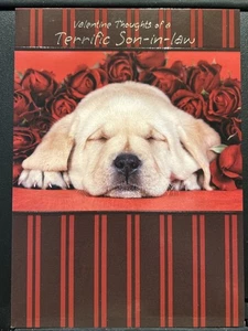 Happy Valentine's Day Son-In-Law Greeting Card w/Envelope - Picture 1 of 3