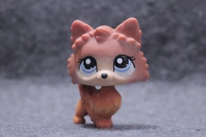 Authentischer Littlest Pet Shop LPS braun blonder Pommerscher Hund #1599 LESEN - Bild 1 von 4
