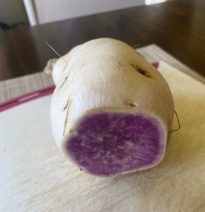 10 Okinawan Purple flesh, white skin Sweet Potato cuttings, grown organically - Picture 1 of 3