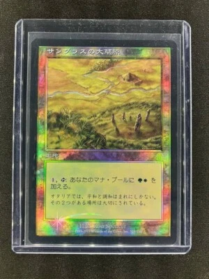 MTG Sungrass Prairie Odyssey Japanese Near Mint Foil - Image 1 of 4