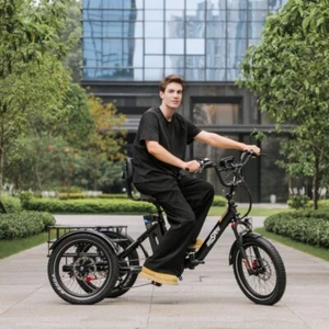 ONESPORT OT30PRO Elektro Dreirad 20 Zoll E-Bike 48V 18AH Elektrofahrrad Tricycle - Bild 1 von 24