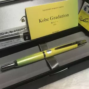 Pluma Estilográfica Pilot Nagasawa Original Koikawa Ipe Nuevo en Caja F Limited Nueva Sin Usar JPN - Imagen 1 de 10
