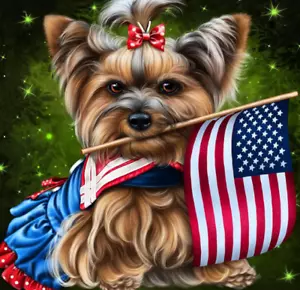 Diamond Art Painting American Flag Kits for Adult 4Th of July Dimond Art with Do - Picture 1 of 5