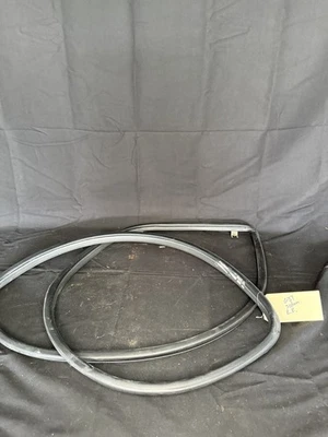 07-13 INFINITI G35 G37 G25 SEDÁN PUERTA TRASERA DERECHA PASAJERO SELLO RESISTENTE AL CLIMA Foto 1 de 4