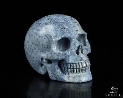 Calavera de cristal tallada a mano de coral Blue Ridge de 2,0", realista, cristal curativo Foto 1 de 4