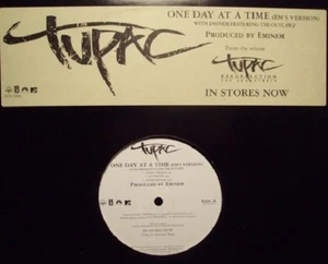 Tupac One day at a Time 12 Inch Single LP Vinyl Record New - Picture 1 of 1