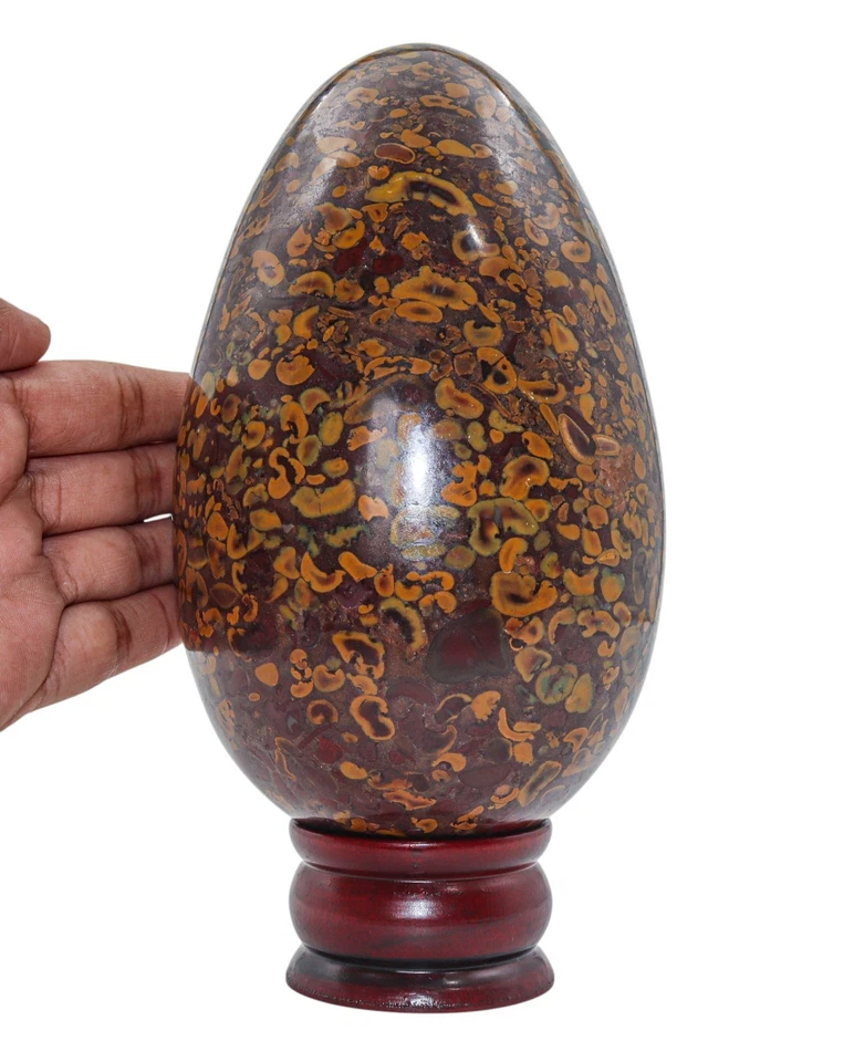 Large 170MM Gorgeous Fossil Coral Jasper Stone Healing Power Metaphysical Egg - Image 1 of 4