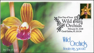 20-046, 2020, Wild Orchids, Pictorial Postmark, First Day Cover, Hexalectris spi - Picture 1 of 1