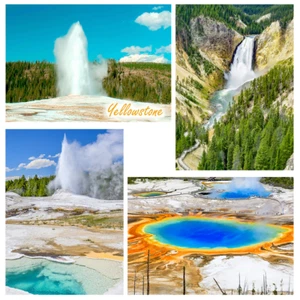 4 postales lenticulares 3D de Yellowstone Nat'l Park - NUEVAS - Imagen 1 de 5