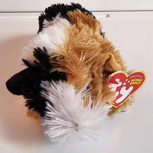 Ty Beanie Babies Patches the Guinea Pig - Picture 1 of 7