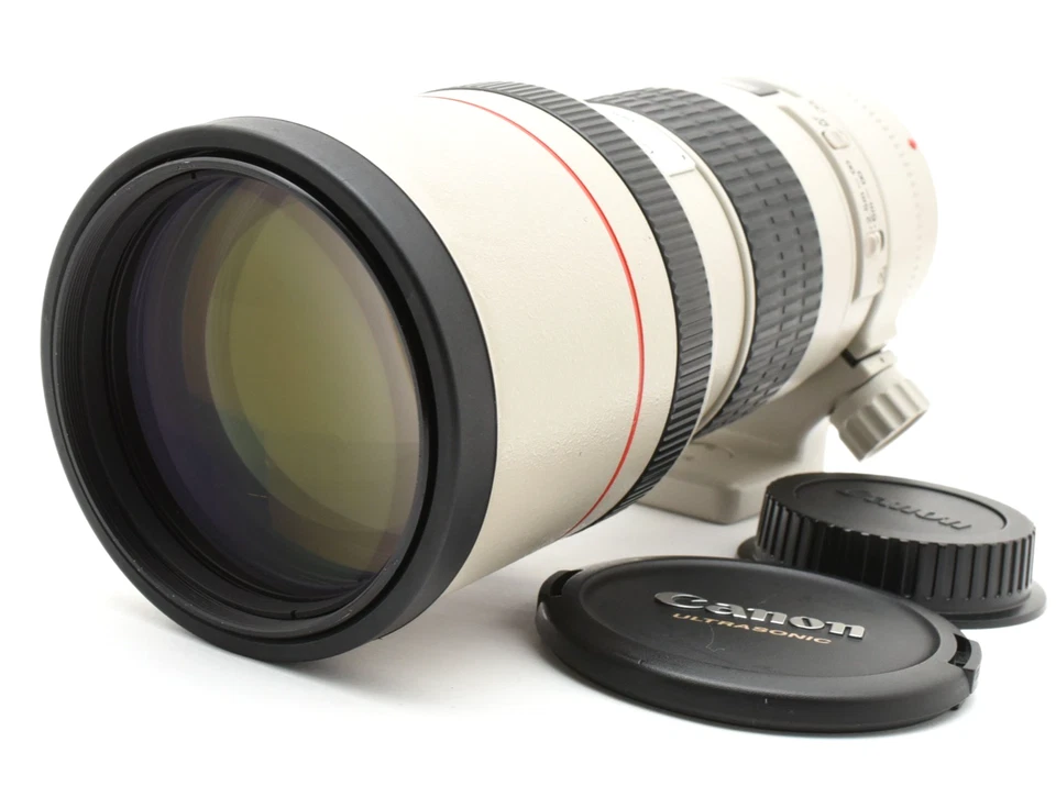 [ Near MINT w/Caps ] Canon EF 300mm F/4 L USM Telephoto Prime Lens From JAPAN - Image 1 of 4
