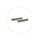 Dropout Adjuster Screws M3 with Spring | 30mm or 40mm