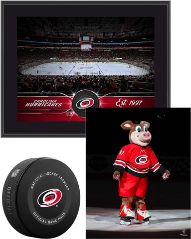 Carolina Hurricanes Young Collectors Bundle Includes Team Stadium Cover