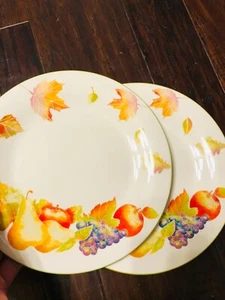 essential home, 2 small plates, pre-owned, thanksgiving fall fruit and leaves - Picture 1 of 10