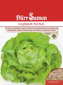 Kopfsalat Pia RZ Samen von Dürr Samen Lausfrei ca 100 Korn Kopfsalatsamen - Bild 1 von 1
