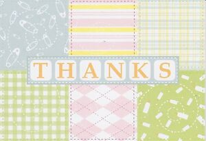 BABY SHOWER 8 CT THANK YOU CARDS Gingham Blank Notes Cute Party Thanks NEW