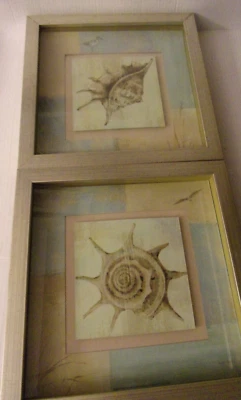 Shells - Square Wood Frames - Pictures  13.5" x 13.5" x 1.5" Vintage Sea Decor - Image 1 of 4