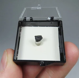 CHEVKINIT (Ce) Exemplar * Arondu, Pakistan, Ex. Chet Lemanski Sammlung - Bild 1 von 4