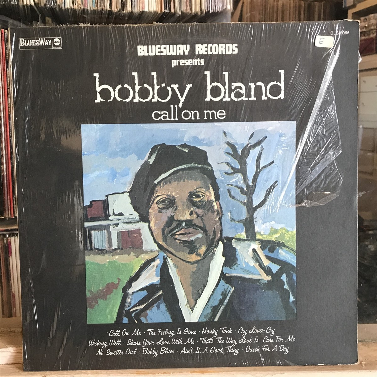 レコード Bobby Bland BOBBY BLAND / Dreamer (LP) / Dunhill | WAXPEND RECORDS