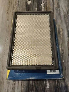 Hastings AF1083 Air Filter - Bild 1 von 1
