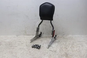 2002 Harley Softail FLSTF Sissy Bar Passenger Backrest W/Quick Detach Bolts - Foto 1 di 8