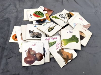 Educational Arabic Picture Cards for Kids Learning & Language Development Tools - Image 1 of 4