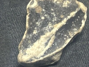 Fragmento fósil de hueso de dinosaurio de Skelton de T-Rex encontrado en excavación Serp #2488 de Utah - Imagen 1 de 4