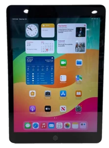 Apple iPad 9th Gen 10.2in 64GB WiFi and Cellular- - Picture 1 of 7