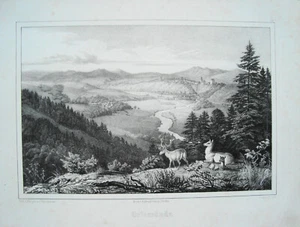 Orlamünde Hirsch Orla Thüringen echte alte Lithographie Lithografie 1844 - Picture 1 of 1