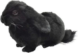 BH8142 HANSA Holland Lop Black 33 - Picture 1 of 6