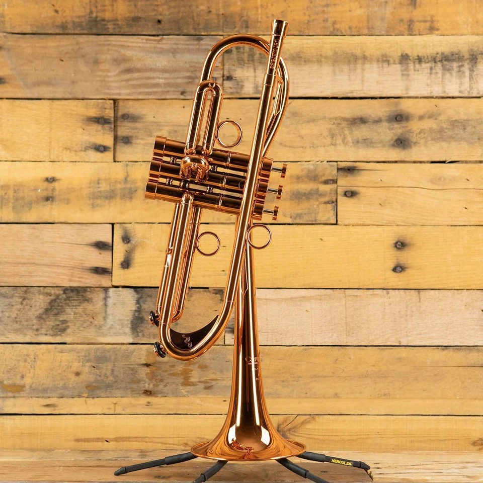CarolBrass Baro modelo II post pandemia RR CTR-5280L-GLT Foto 1 de 3