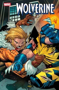 Wolverine #11 - Picture 1 of 1