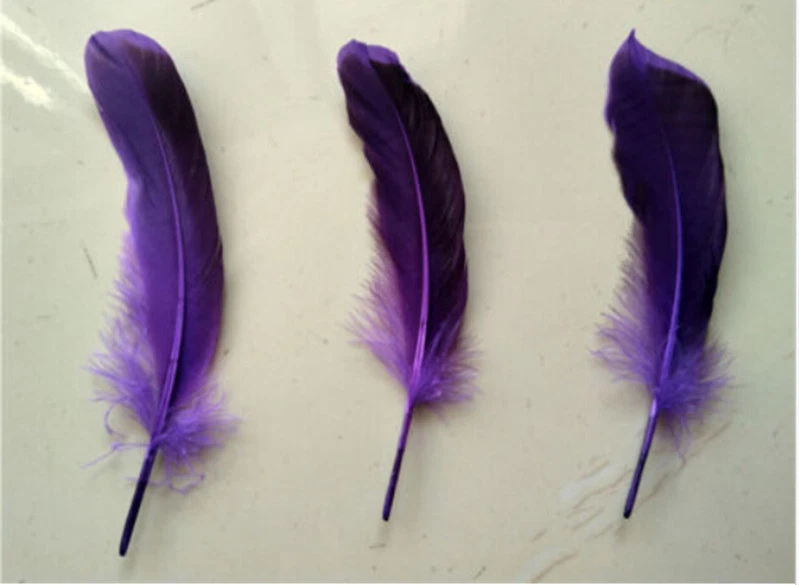 Wholesale 10PCS 10-15cm/4-6nches Beatiful Duck Feathers - Image 1 of 1