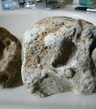 New listing
Aquarium Decorative River Stones Southern Missouri Artifacts