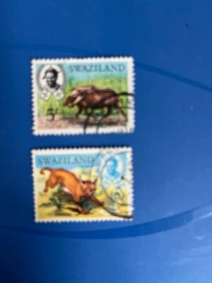 Swaziland Caracal and Bush Pig Stamp, 1969 - Image 1 of 2