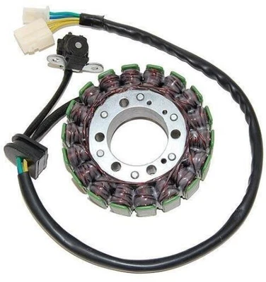 Electrosport Industries - ESG748 - Estator 344152 Foto 1 de 3