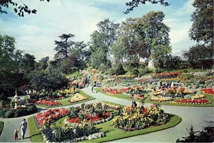 (aq66) The Dingle Shrewsbury - Shropshire Postcard - Picture 1 of 2