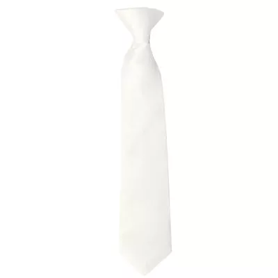 New Kid's Boy's clip on pre tied Necktie Size 4 to 14 wedding formal party White - Image 1 of 2